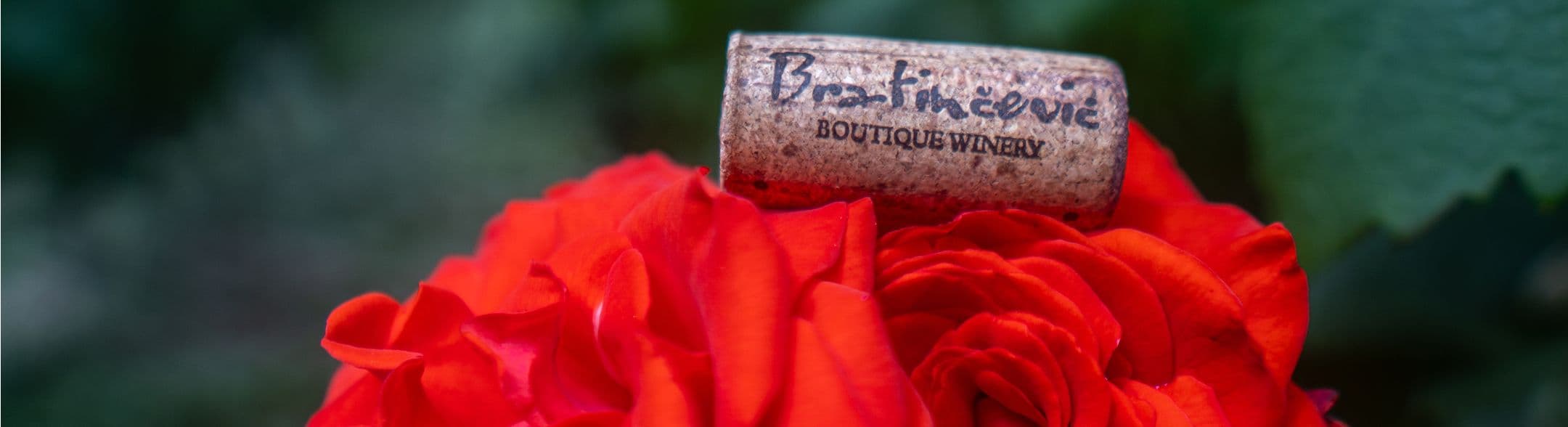 Wine screw with Bratincevic logo