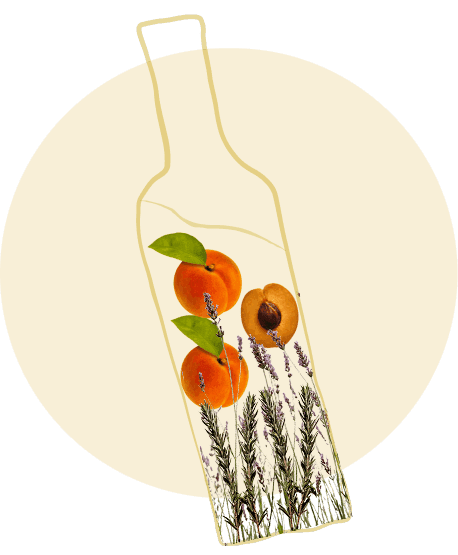 BRATINČEVIĆ POŠIP